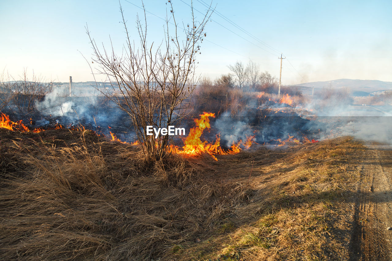 A large fire flame destroys dry grass and tree branches along the road.