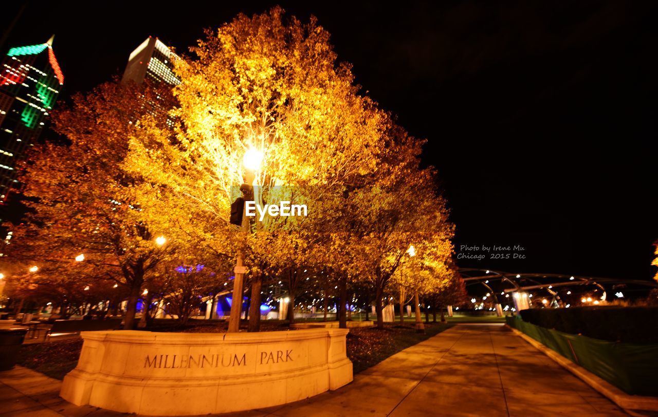 STREET LIGHT AT NIGHT