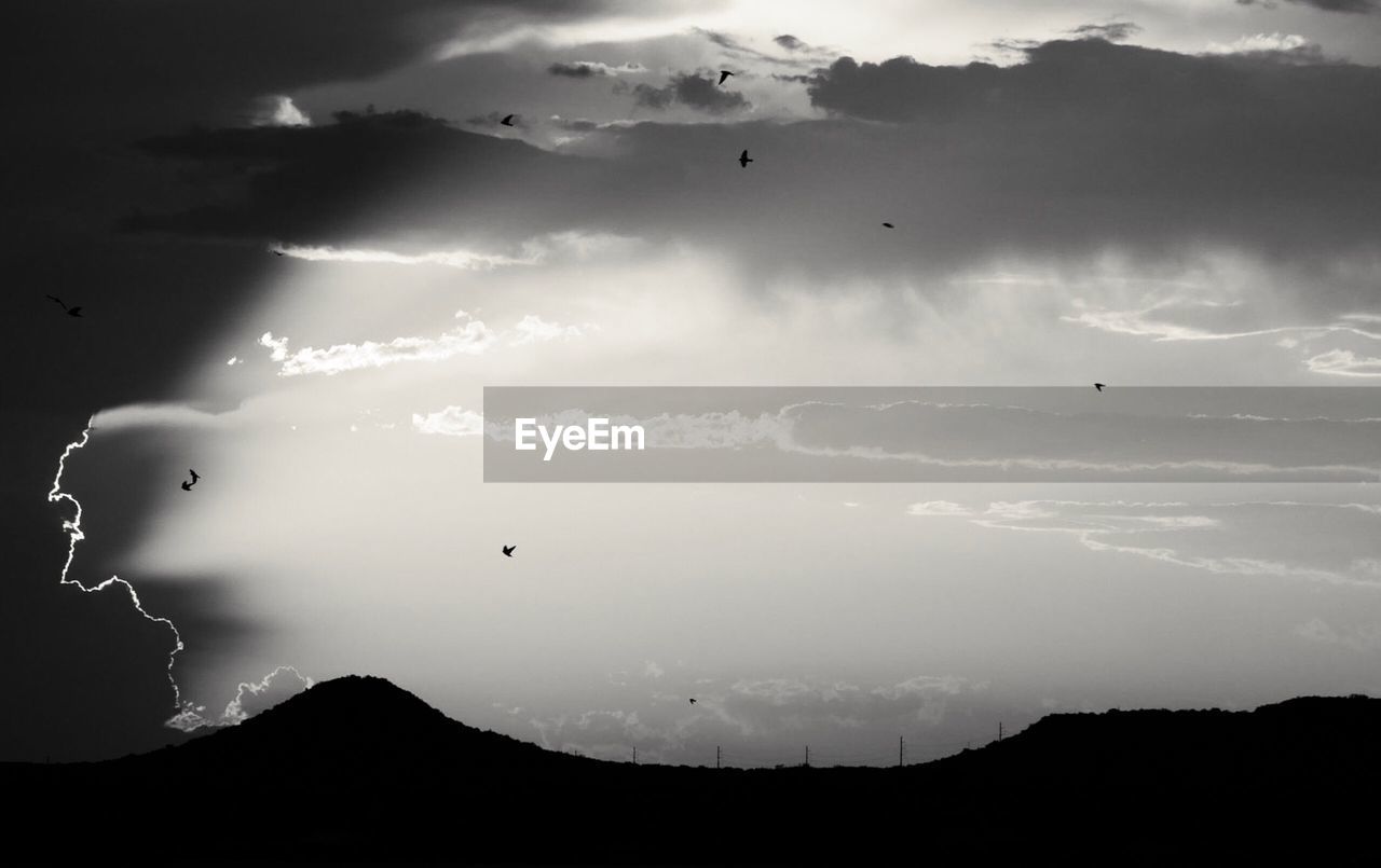 Low angle view of silhouette birds flying against sky