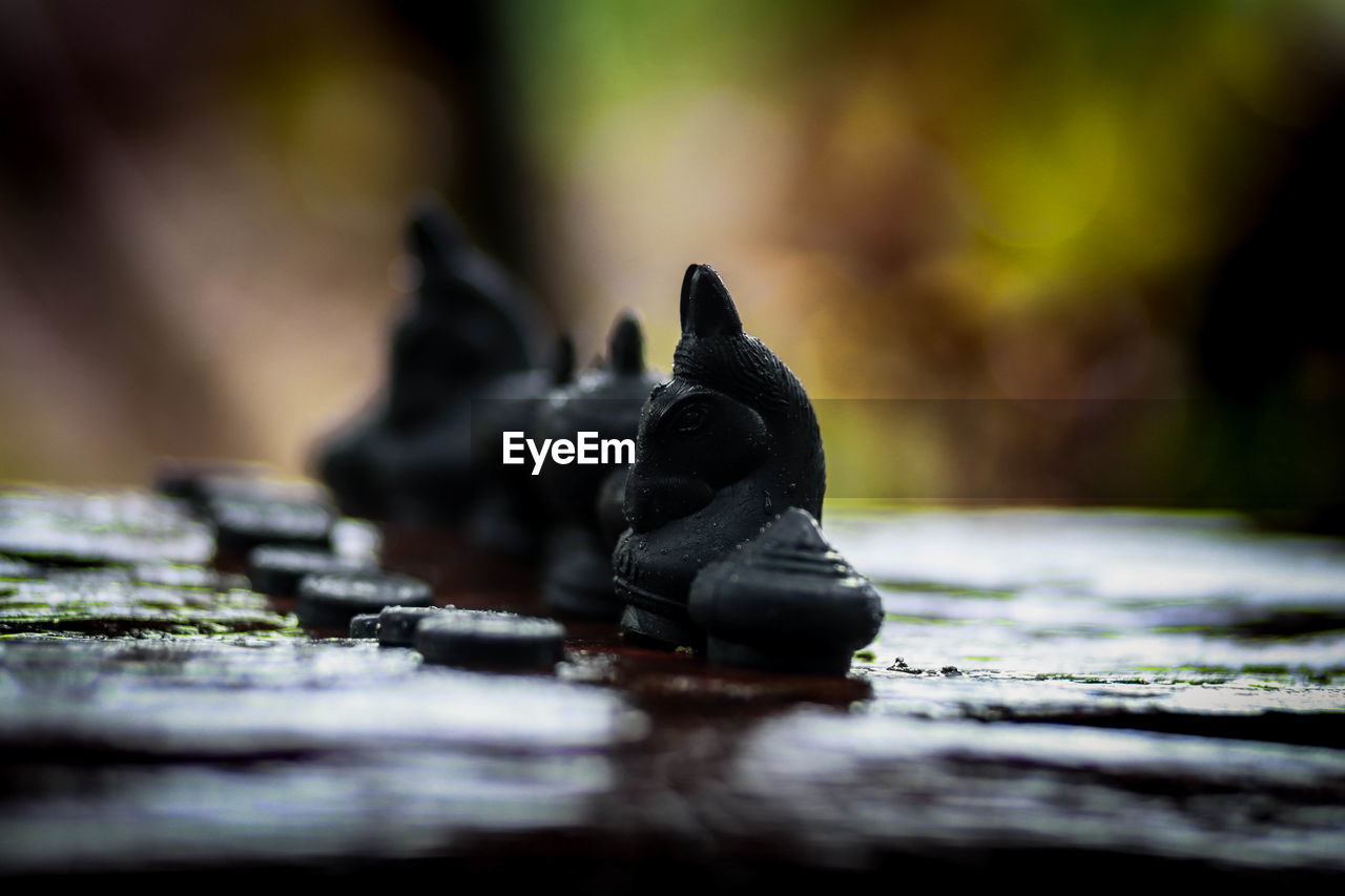 CLOSE-UP OF CHESS PIECES ON ROCK