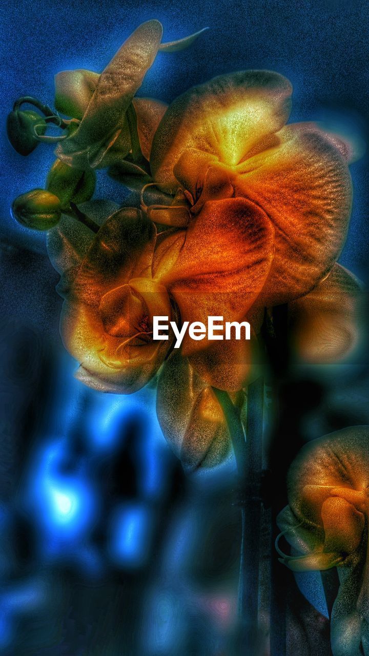 CLOSE UP OF HUMAN EYE