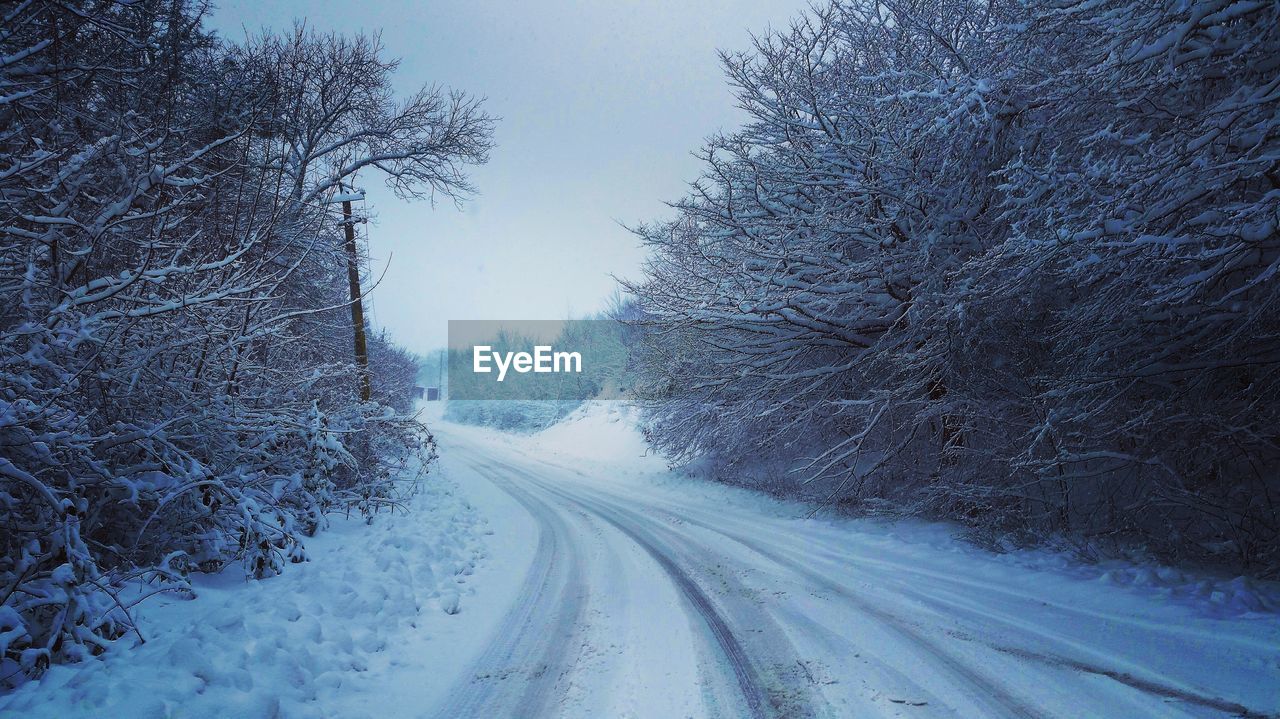 Snow covered road amidst bare trees against clear sky