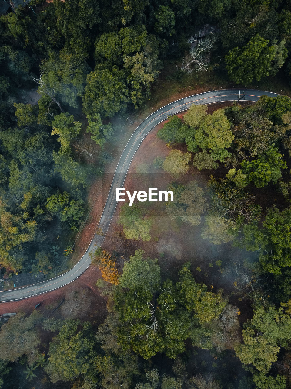 High angle view of road amidst trees in forest