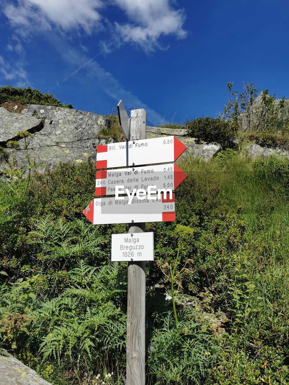 plant, nature, communication, sign, sky, text, no people, mountain, trail, cloud, day, guidance, land, outdoors, grass, western script, landscape, tree, rural area, information sign, blue, road, scenics - nature, non-urban scene, wood, green, tranquility