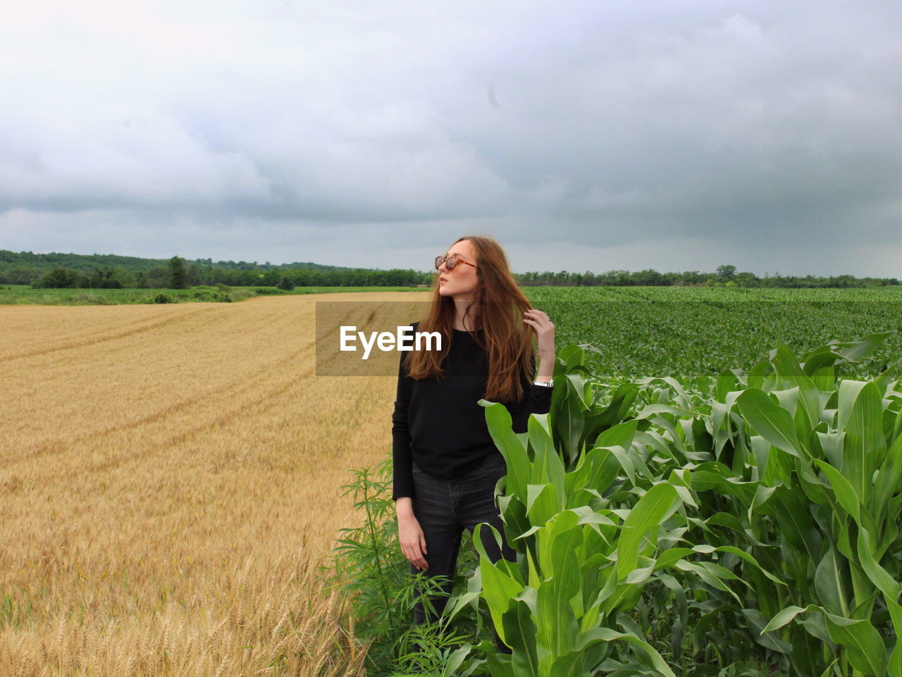 Young woman posing in the field of wheat and corn in vojvodina, serbia