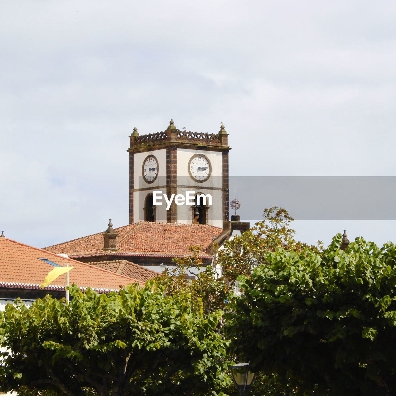 LOW ANGLE VIEW OF BUILDING AND TREES AGAINST SKY