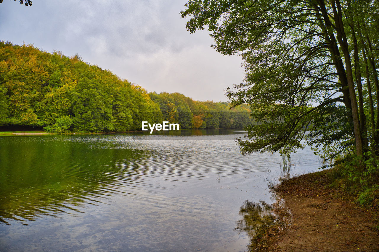 SCENIC VIEW OF LAKE AGAINST TREES