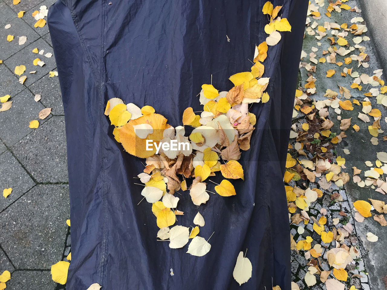 LOW SECTION OF PERSON STANDING ON YELLOW LEAVES