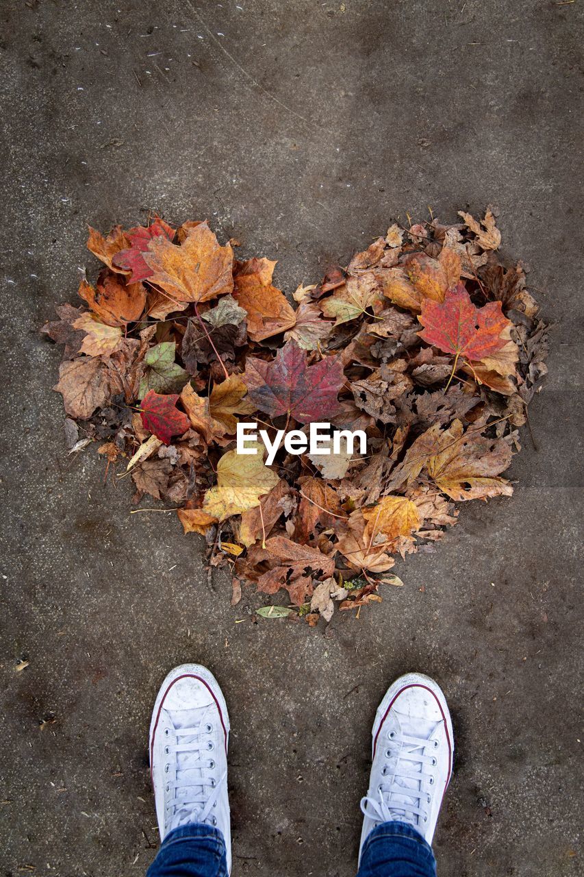 Low section of person standing by heart shape made with autumn leaves