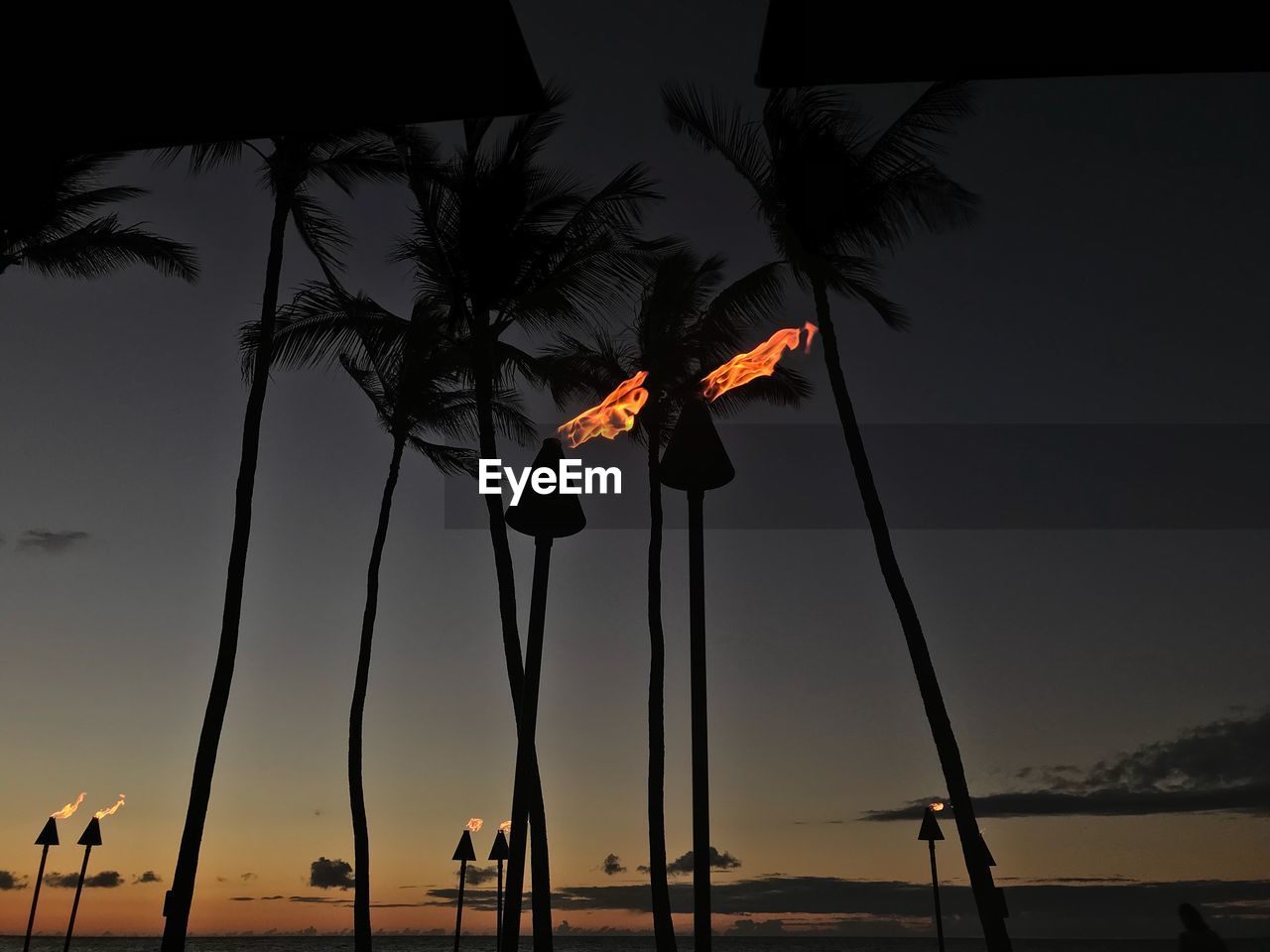 VIEW OF PALM TREES AGAINST SKY DURING SUNSET