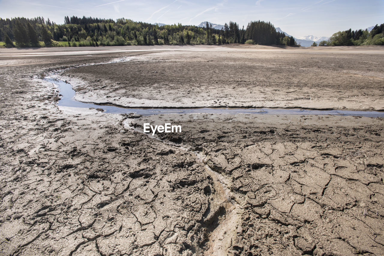 Dehydrated sludge in lake