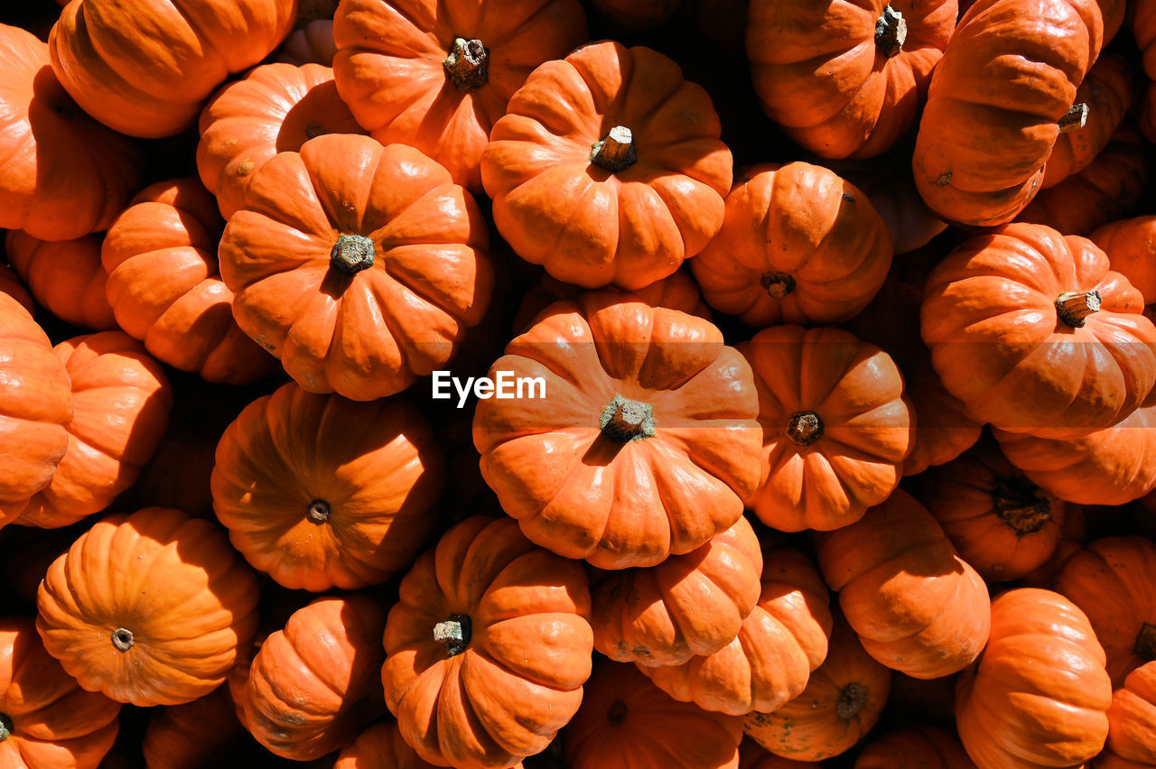 Full frame shot of pumpkins for sale