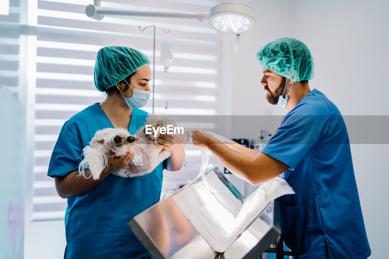 Female assistant in uniform standing with anesthetized cute dog while male vet doctor cleaning operating table in room after surgery