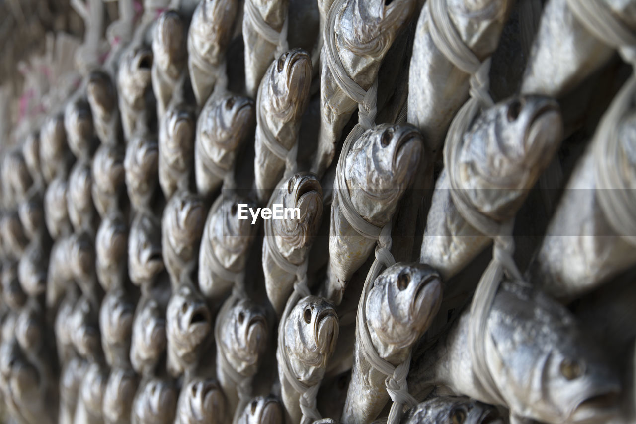 Full frame shot of dried fishes hanging for sale at market