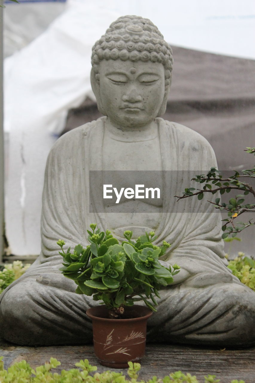 Close-up of buddha statue