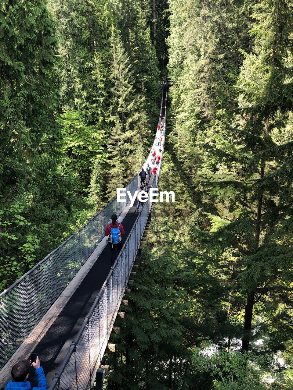 PEOPLE ON FOOTBRIDGE IN FOREST