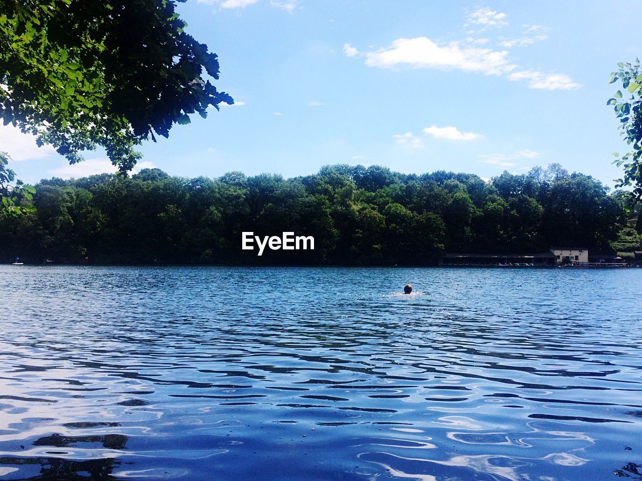 Mid distance view of person swimming in lake