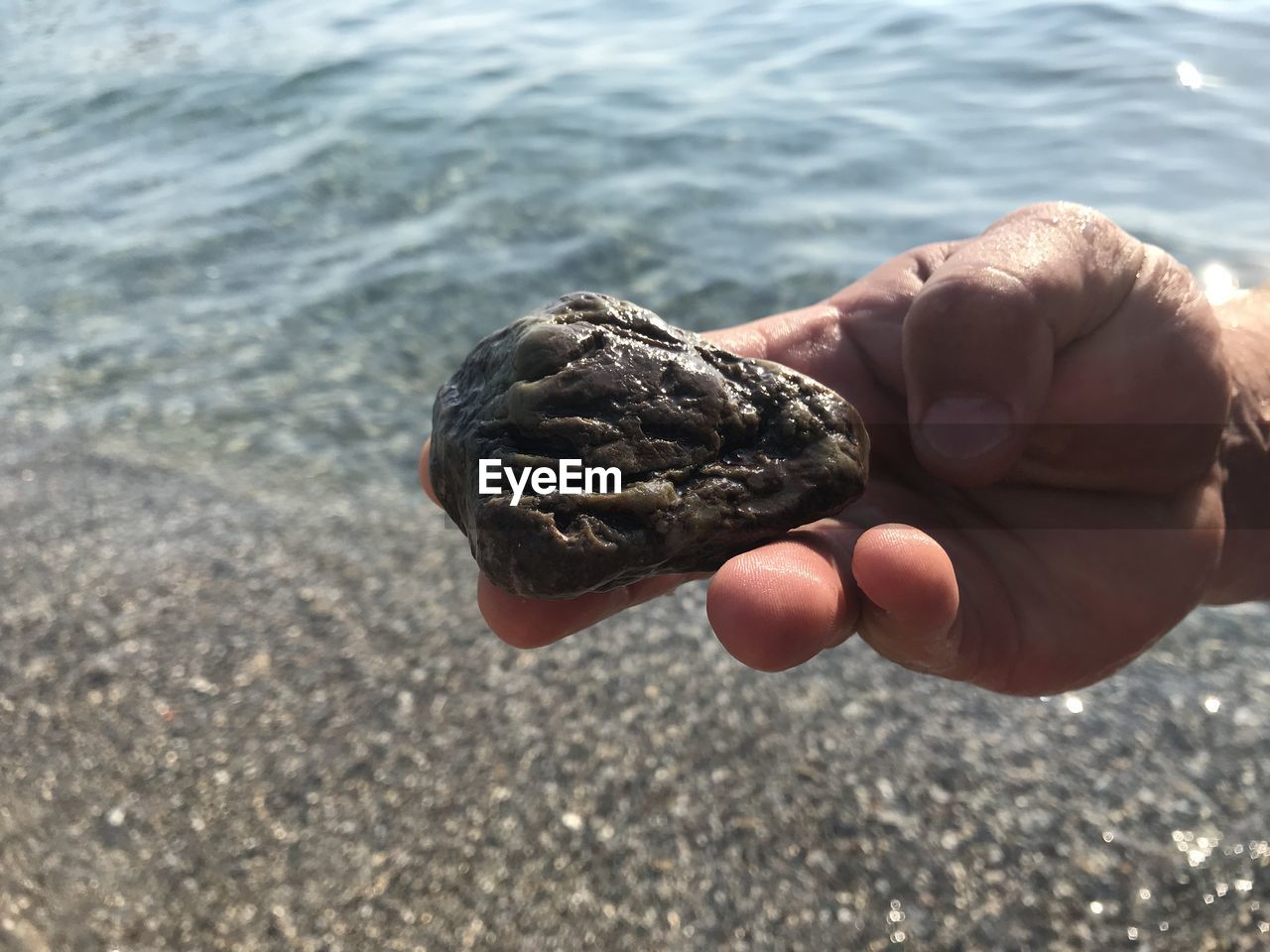 Cropped image of person holding stone over sea