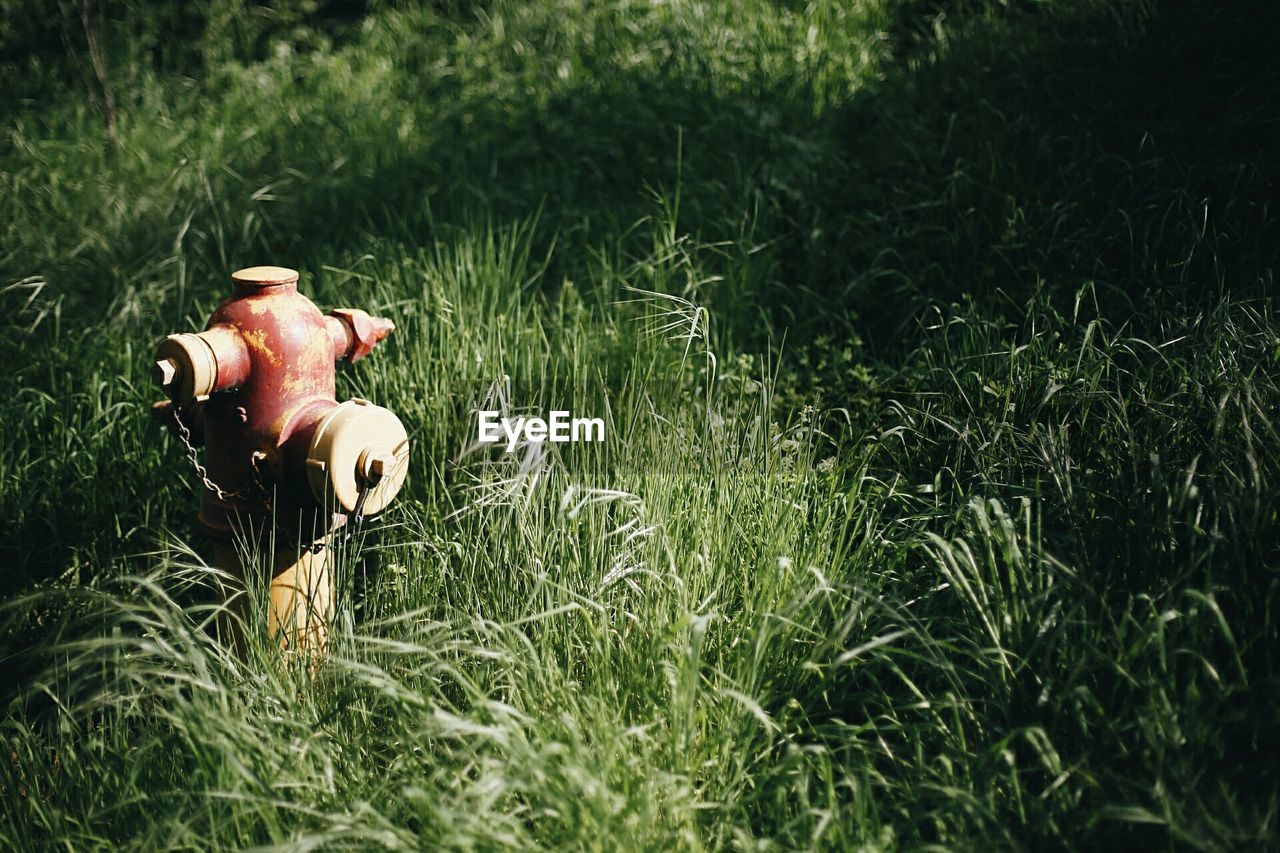 High angle view of fire hydrant on grassy field
