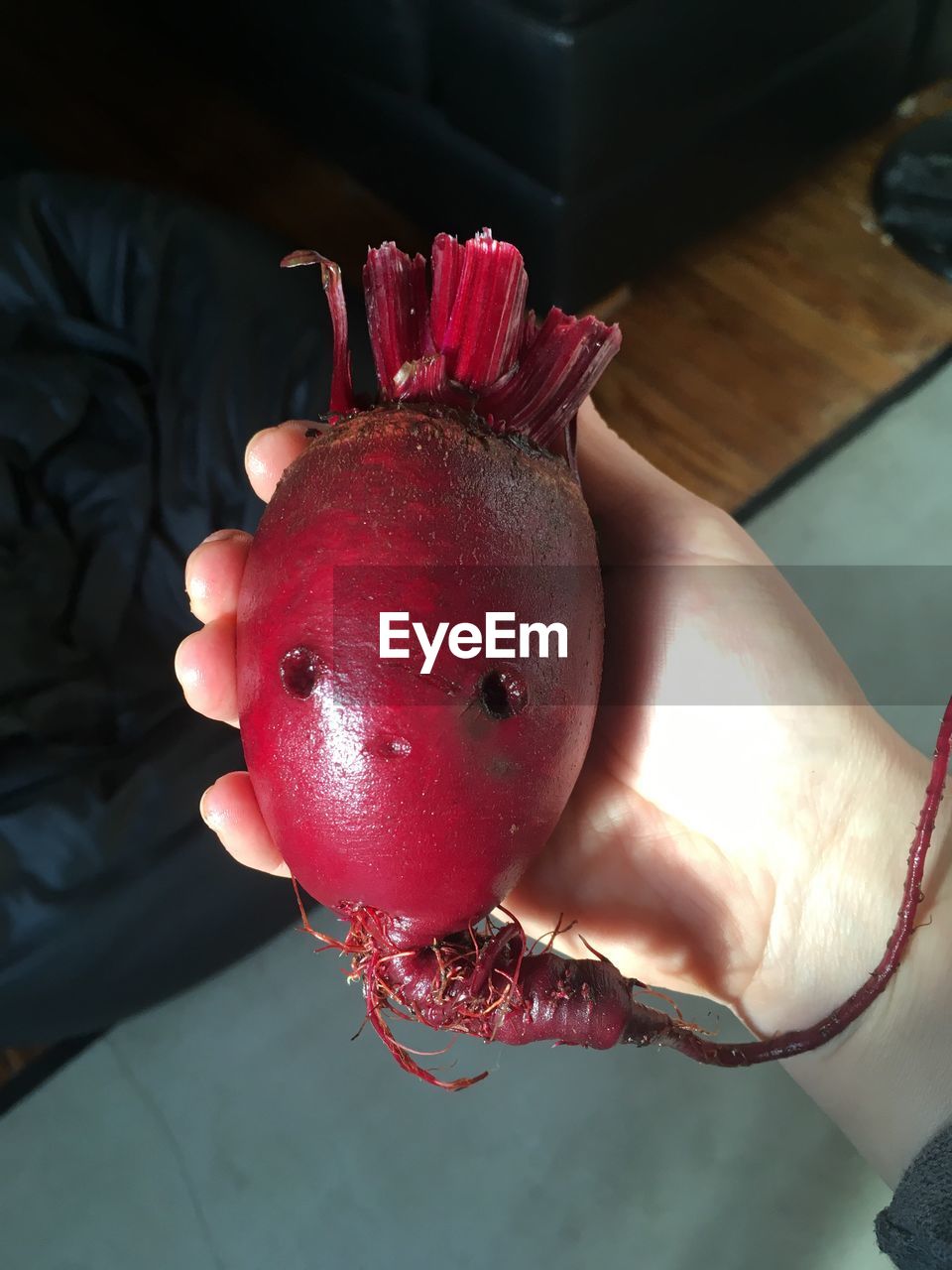 CLOSE-UP OF HAND HOLDING RED FRUIT