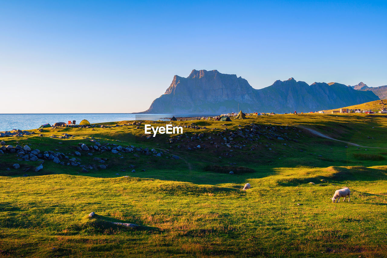 scenic view of landscape against clear blue sky