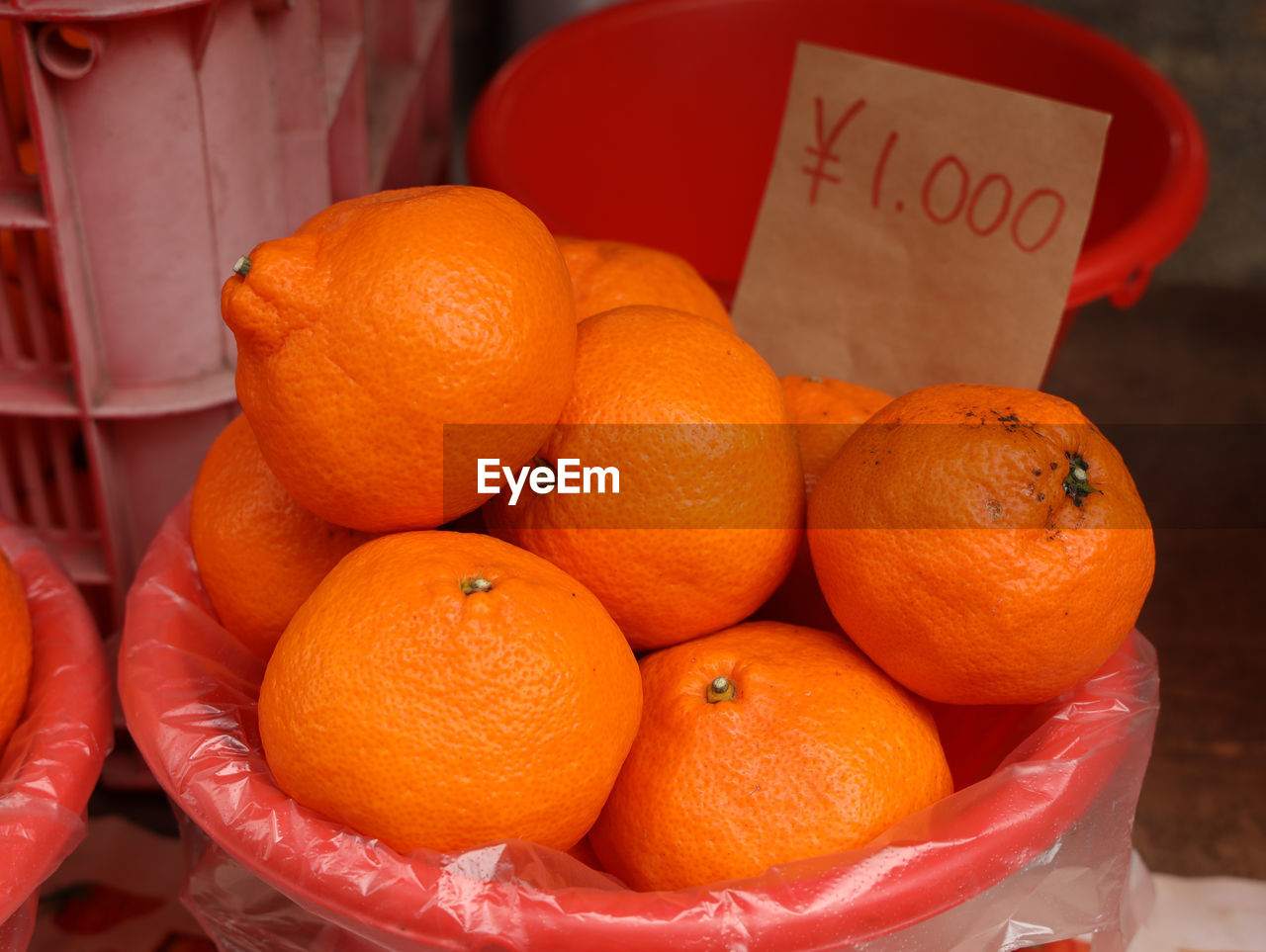 Close-up of oranges