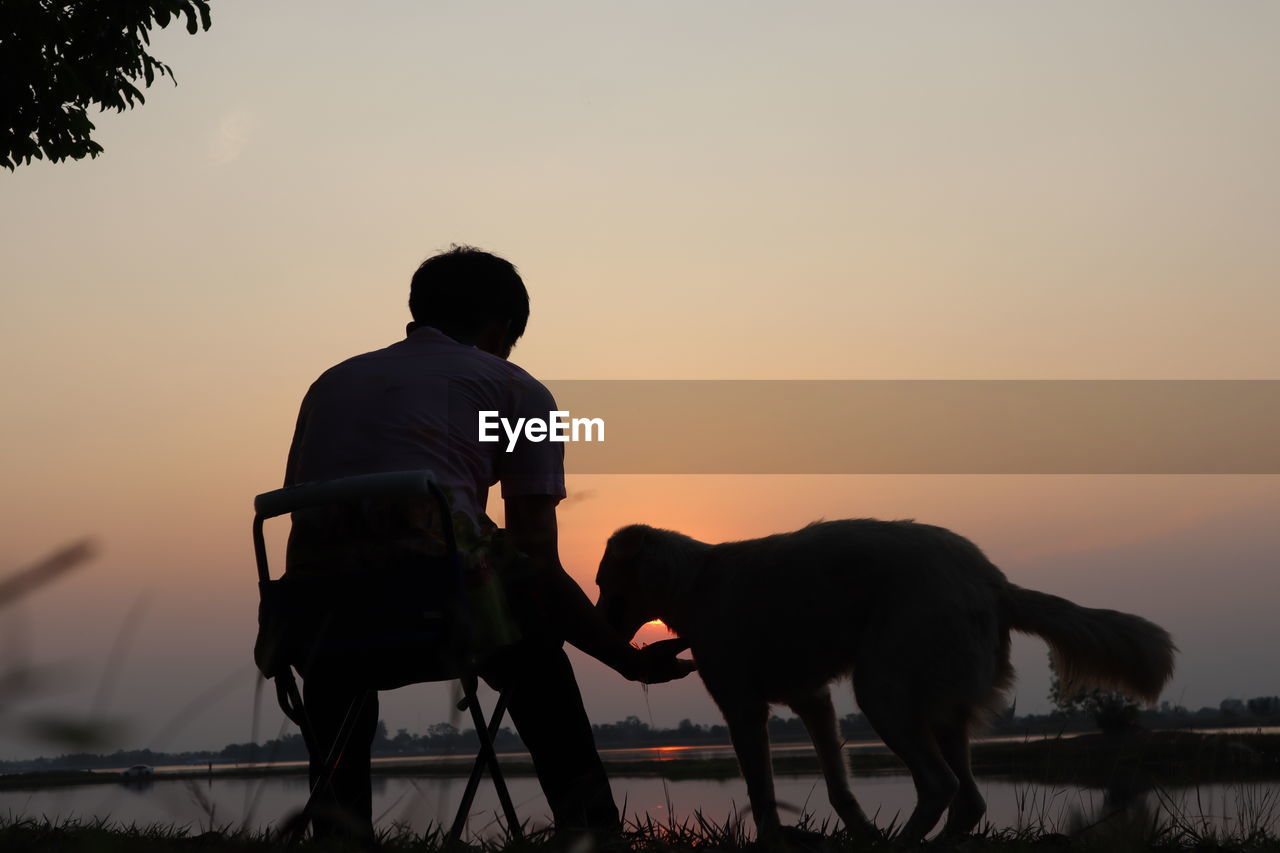 rear view of man standing with dog against clear sky during sunset