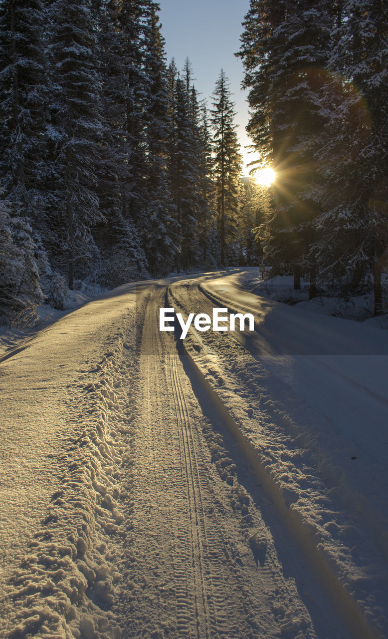 Snowy road 