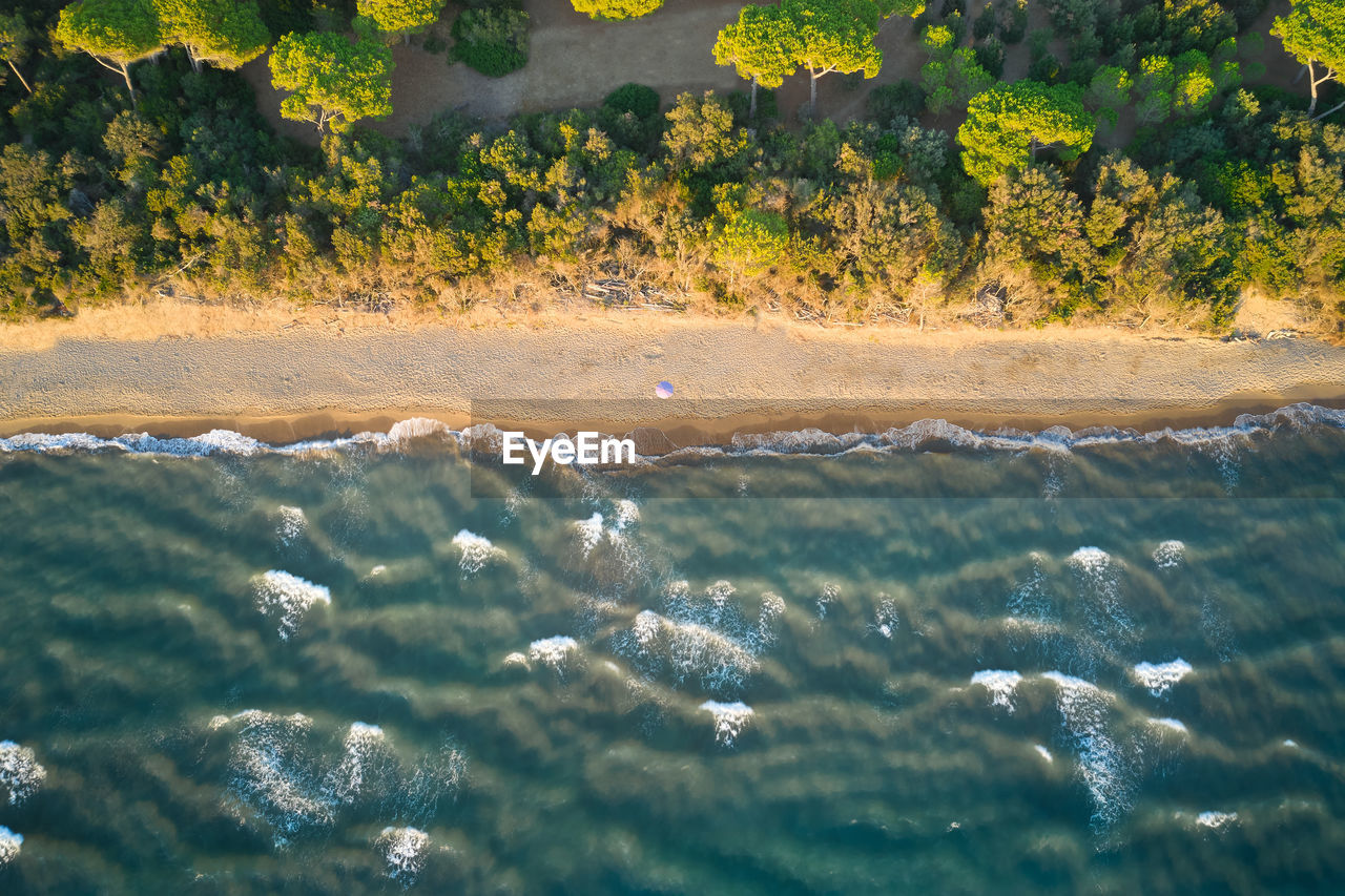 Aerial view of a beach in the tuscan maremma with a single umbrella