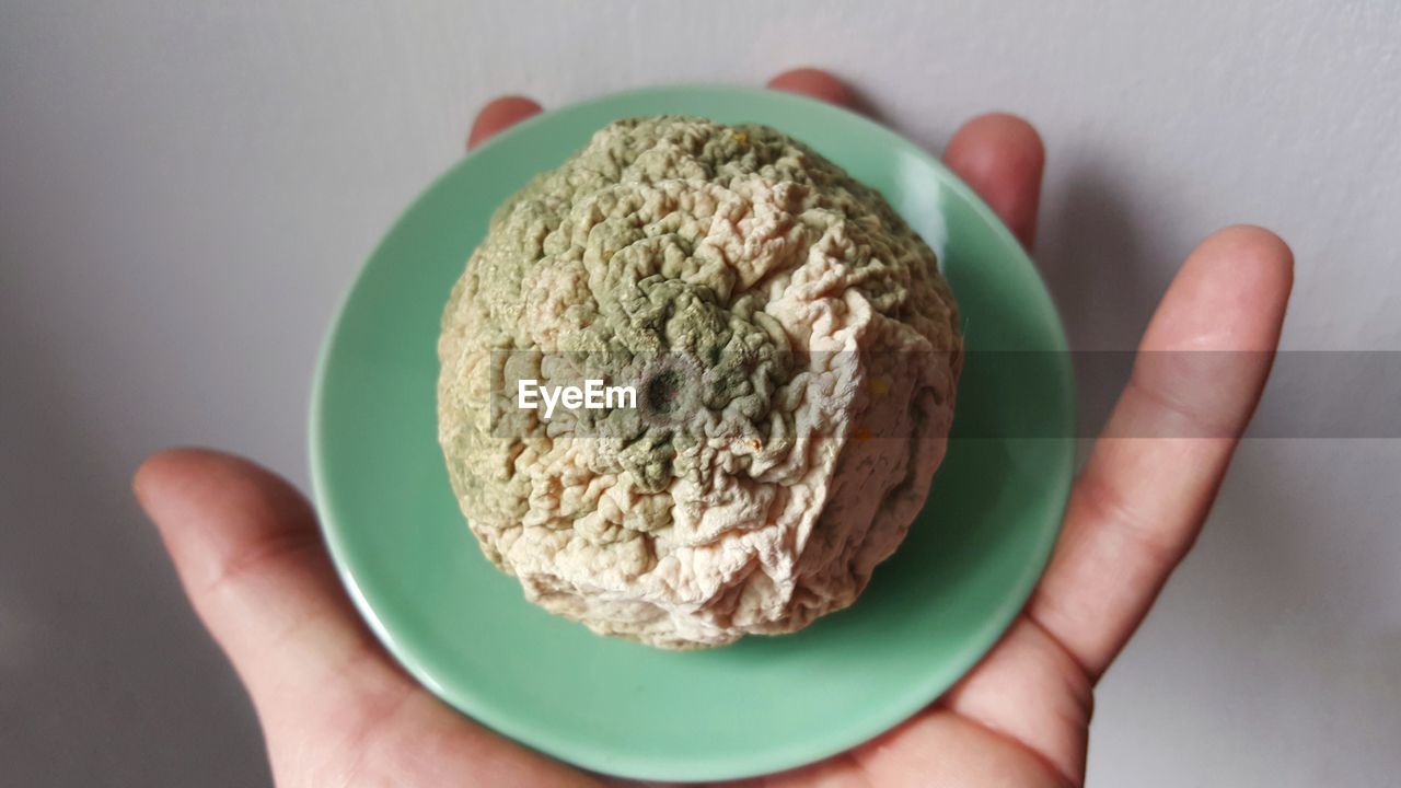 CLOSE-UP OF PERSON HAND HOLDING BREAD