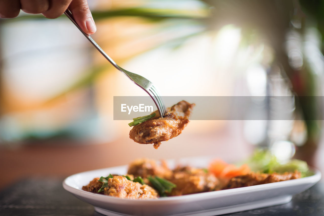 CLOSE-UP OF HAND HOLDING LEAF ON PLATE