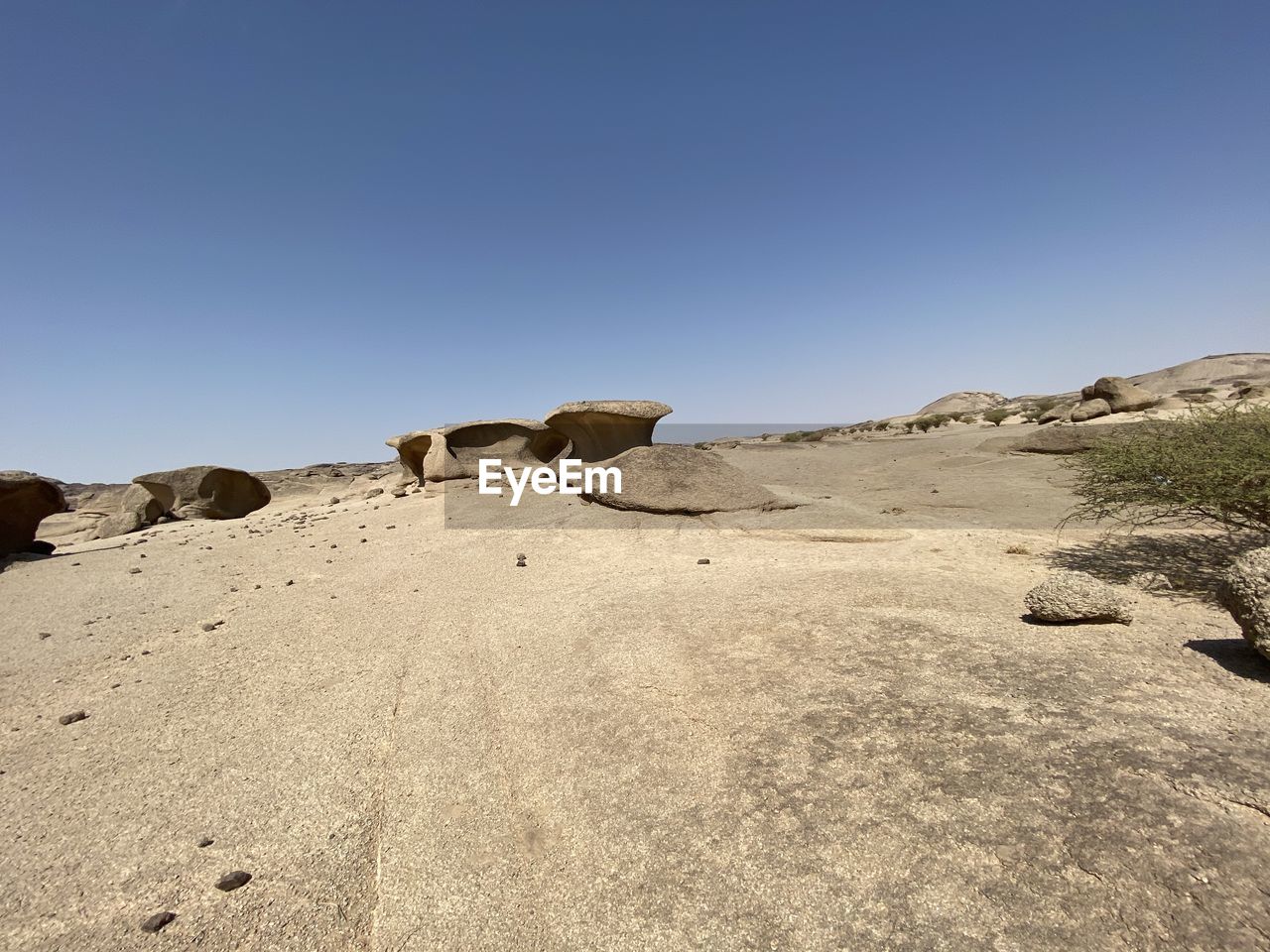 VIEW OF A HORSE ON ROCK