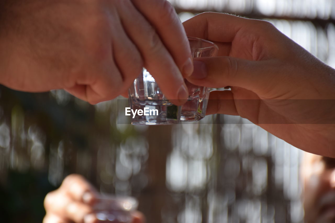 Cropped image of friends toasting drink