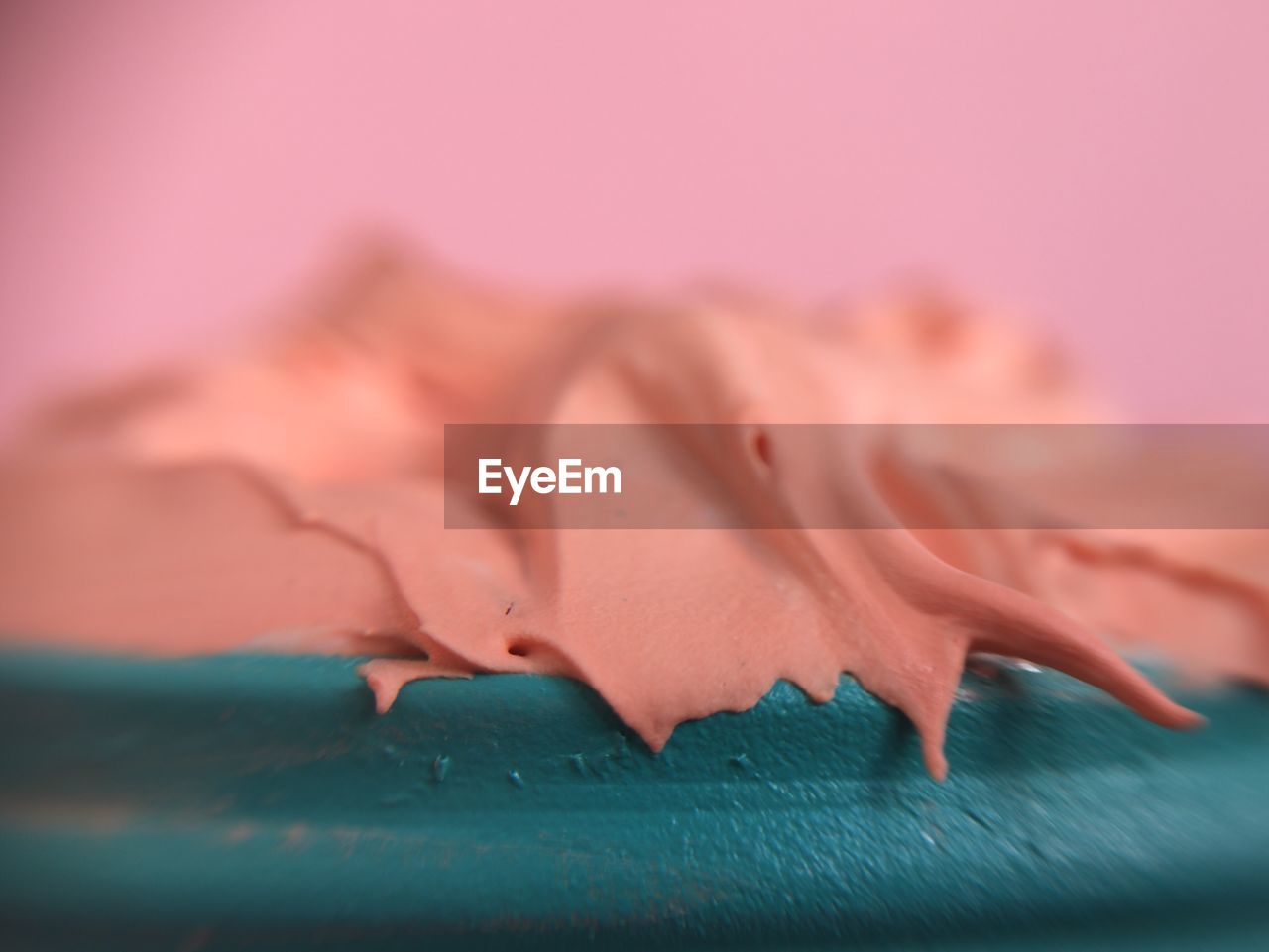 CLOSE UP OF PINK LEAF
