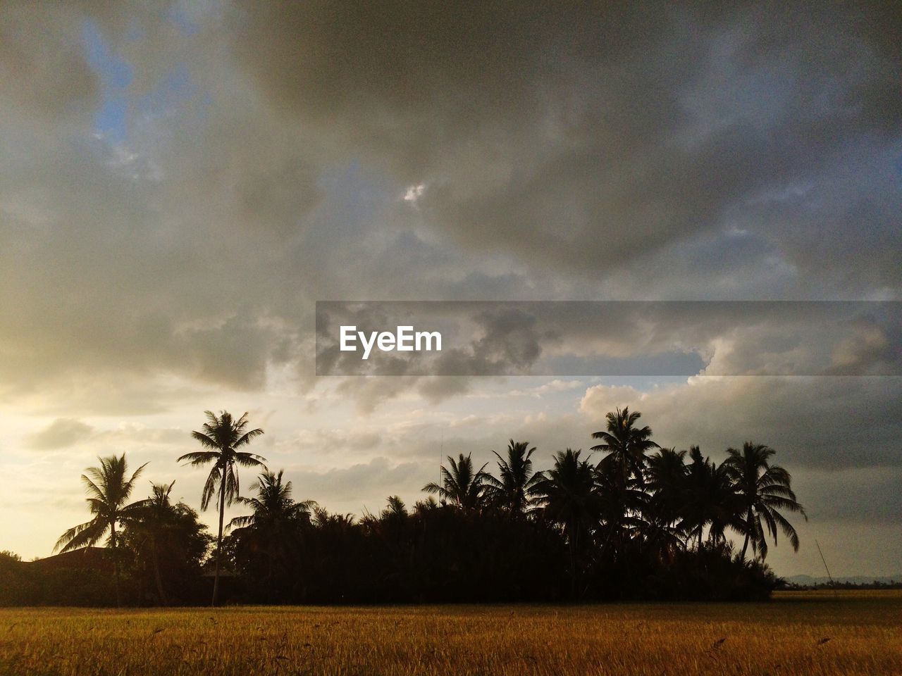 SCENIC VIEW OF LANDSCAPE AGAINST CLOUDY SKY AT DUSK