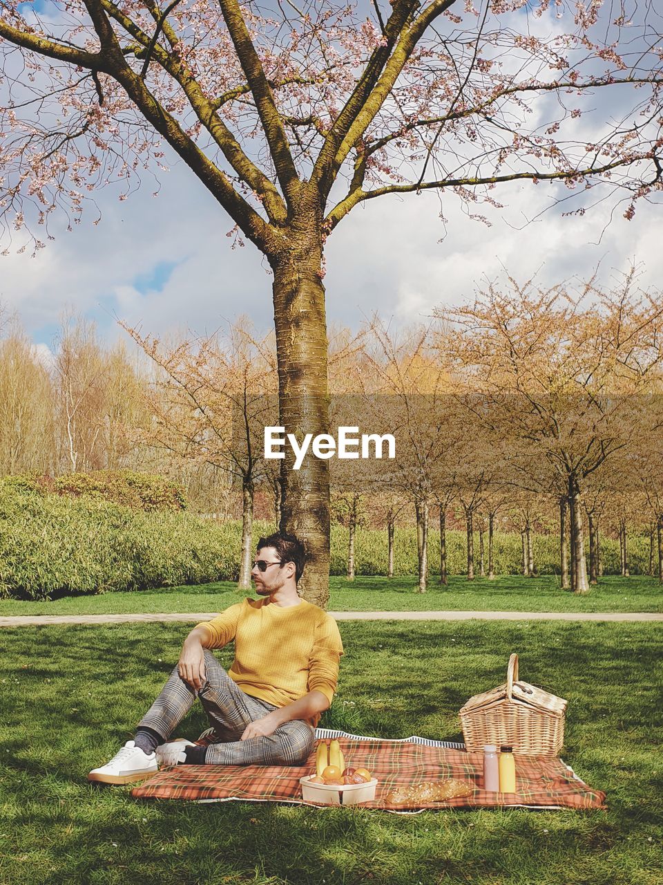 Man sitting on picnic carpet at park