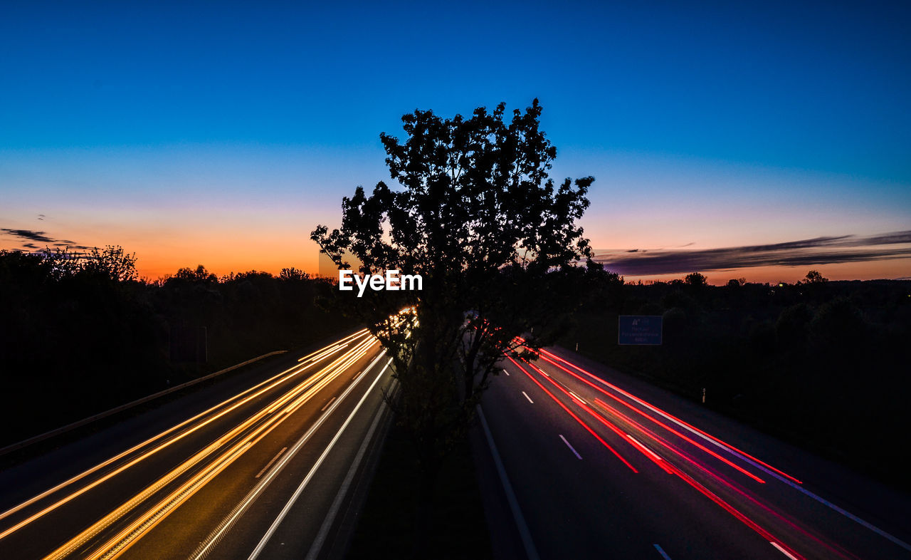 Silhouette tree amidst light trails on road against sky