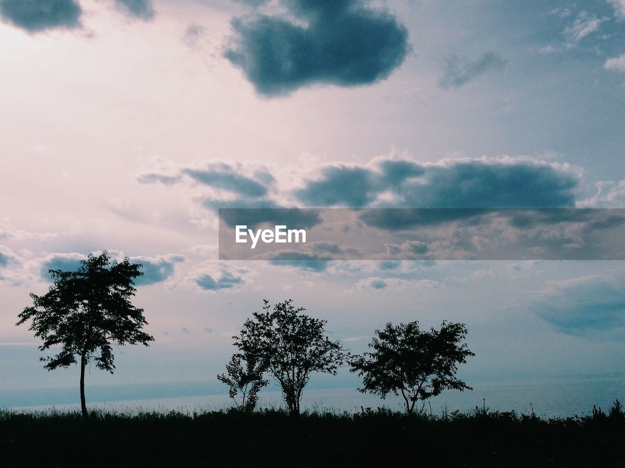 Scenic view of silhouette trees on field against sky during sunset