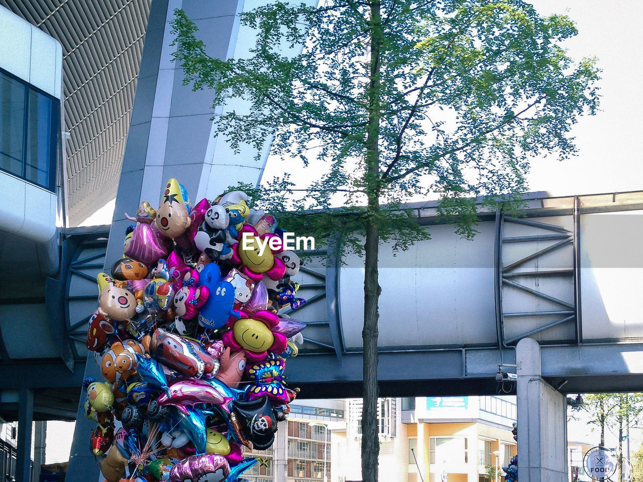 LOW ANGLE VIEW OF BALLOONS HANGING FROM TREE