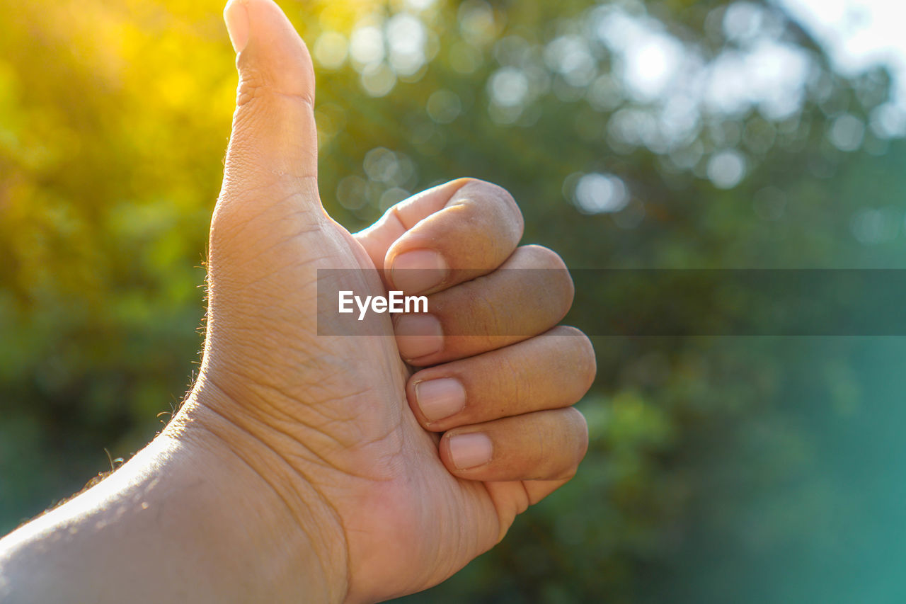 Cropped hand of man gesturing thumbs up against trees