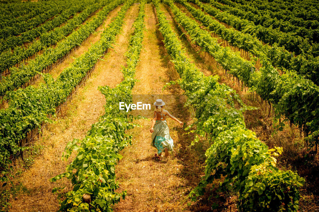 HIGH ANGLE VIEW OF MAN WALKING IN FIELD