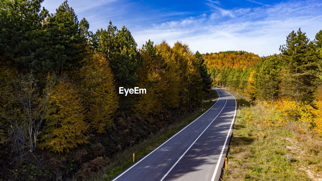 SCENIC VIEW OF ROAD AMIDST TREES AGAINST SKY