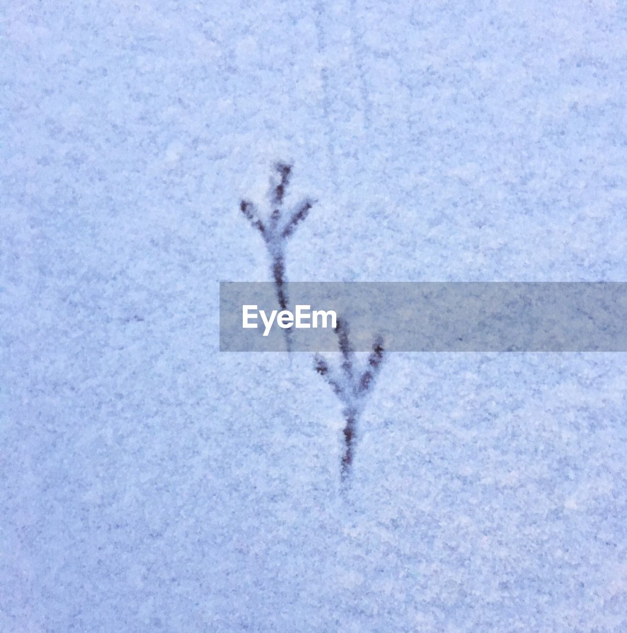 HIGH ANGLE VIEW OF SNOW ON GROUND
