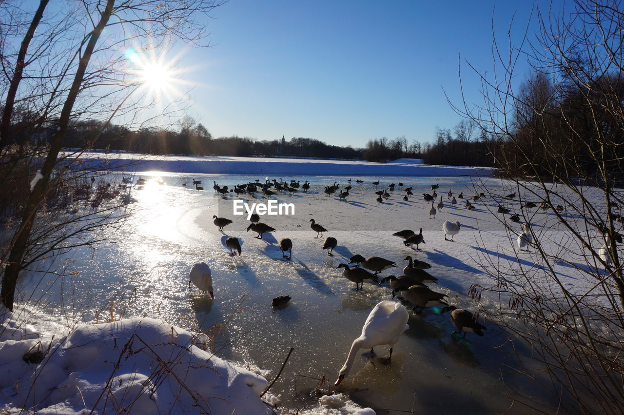 PANORAMIC VIEW OF FROZEN LAKE AGAINST SKY