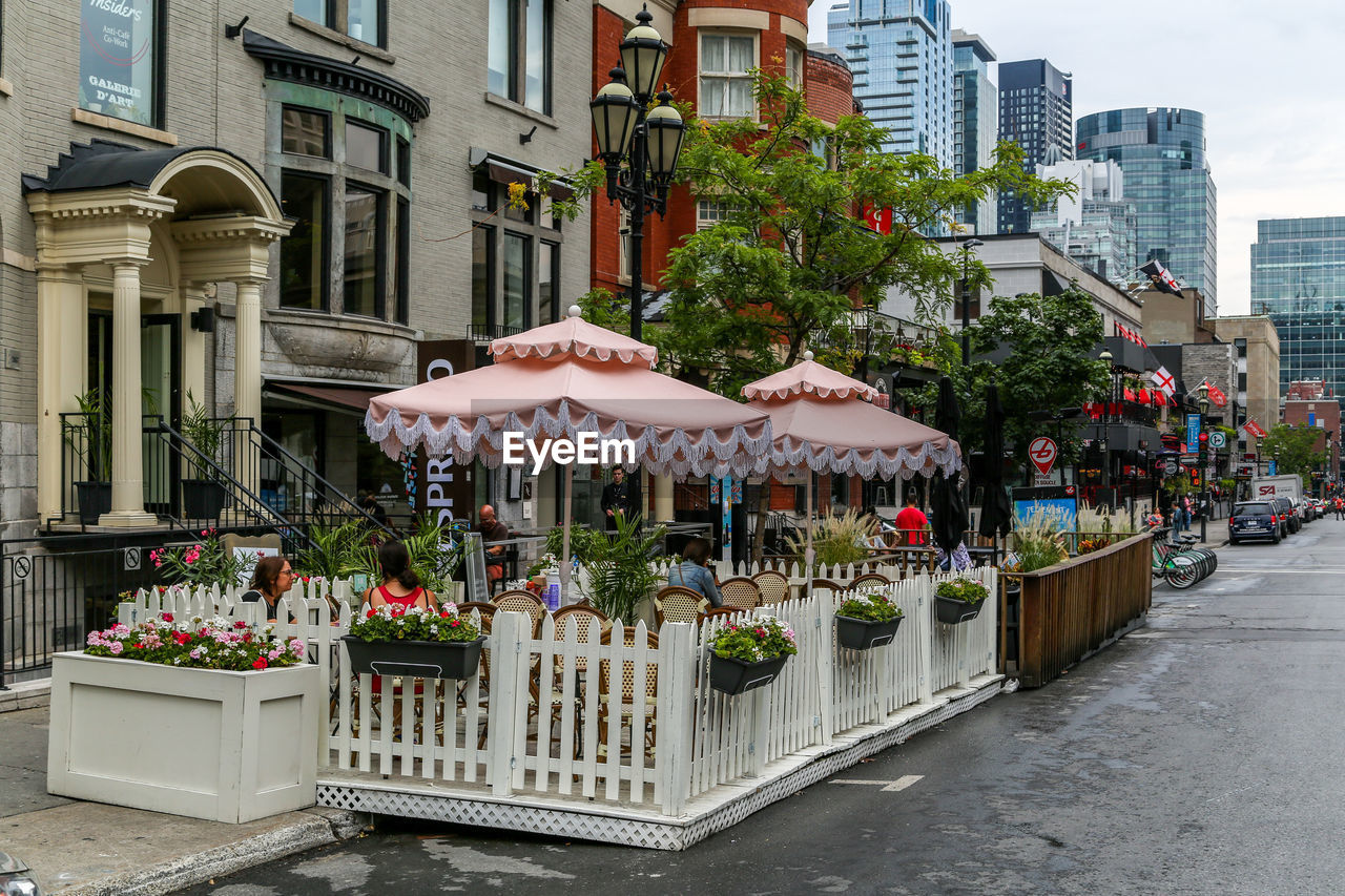 POTTED PLANTS ON STREET AGAINST BUILDINGS