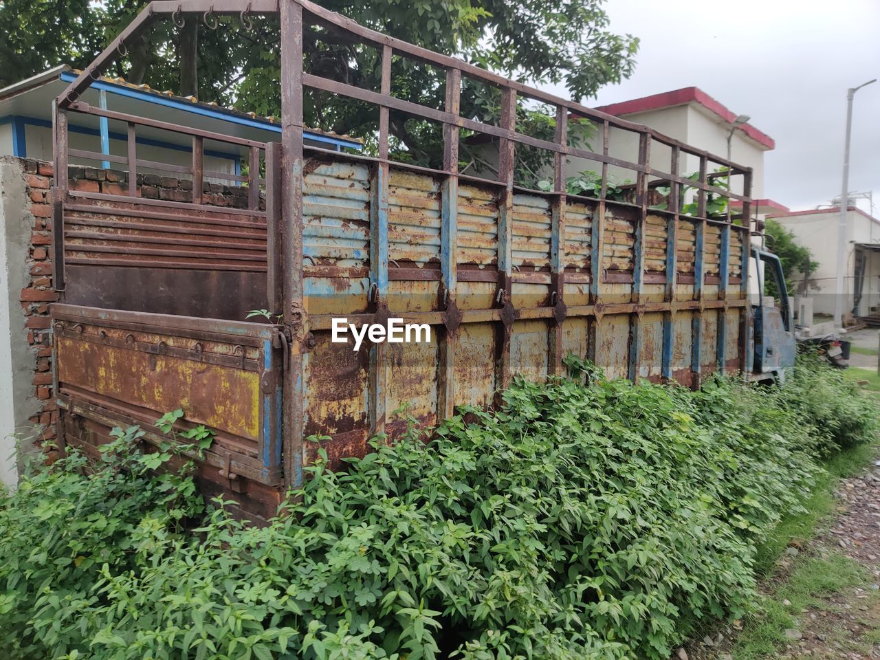 BUILT STRUCTURE BY PLANTS AGAINST BUILDINGS