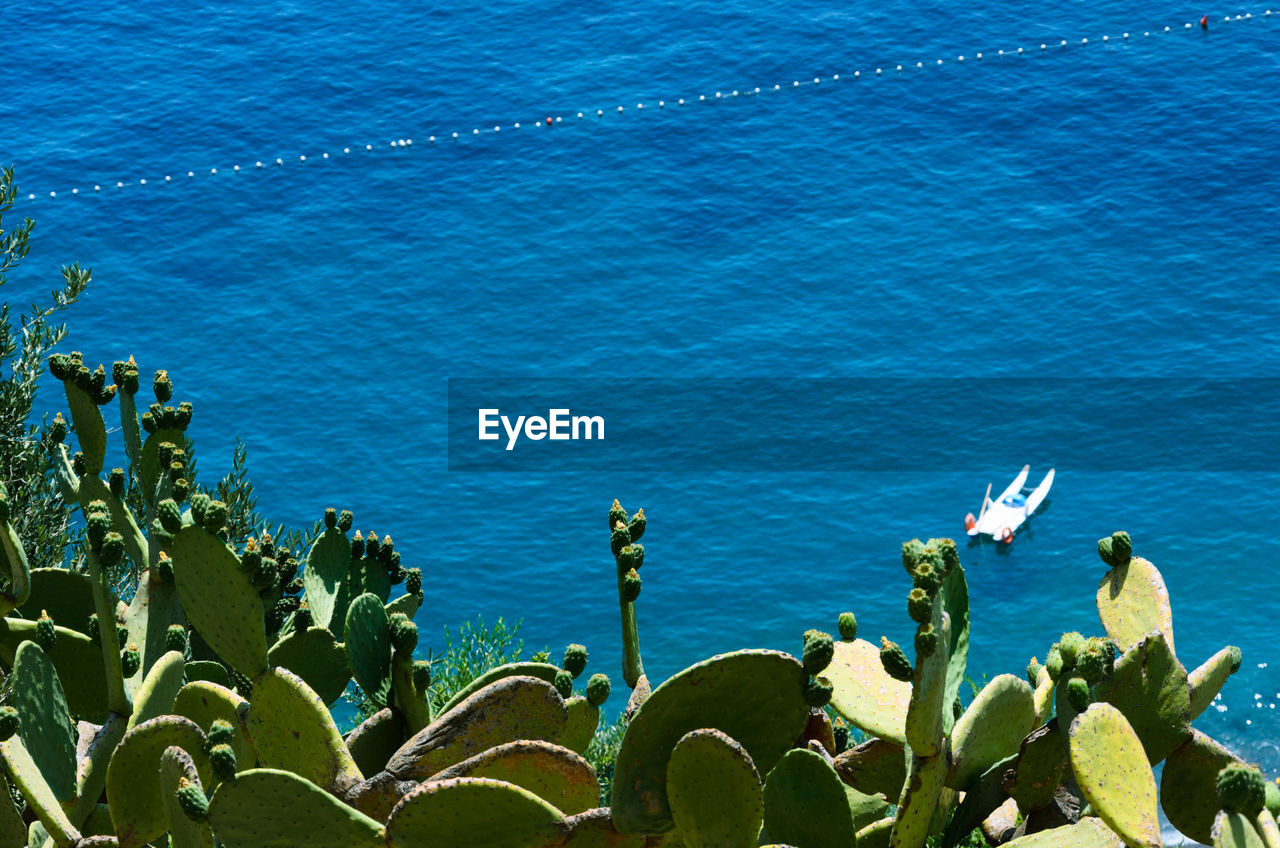 High-angle view of mediterranean sea along amalfi coast.