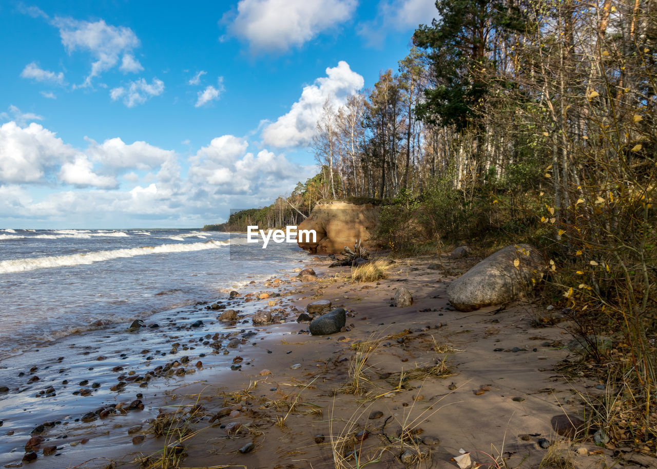 SCENIC VIEW OF BEACH