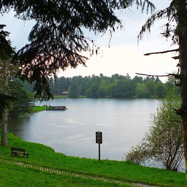 water, plant, tree, lake, nature, grass, tranquility, beauty in nature, sky, scenics - nature, tranquil scene, body of water, no people, environment, landscape, green, outdoors, day, travel destinations, reflection, land, rural area, travel, reservoir, lakeshore, beach, non-urban scene, tourism, idyllic, morning, vacation, trip