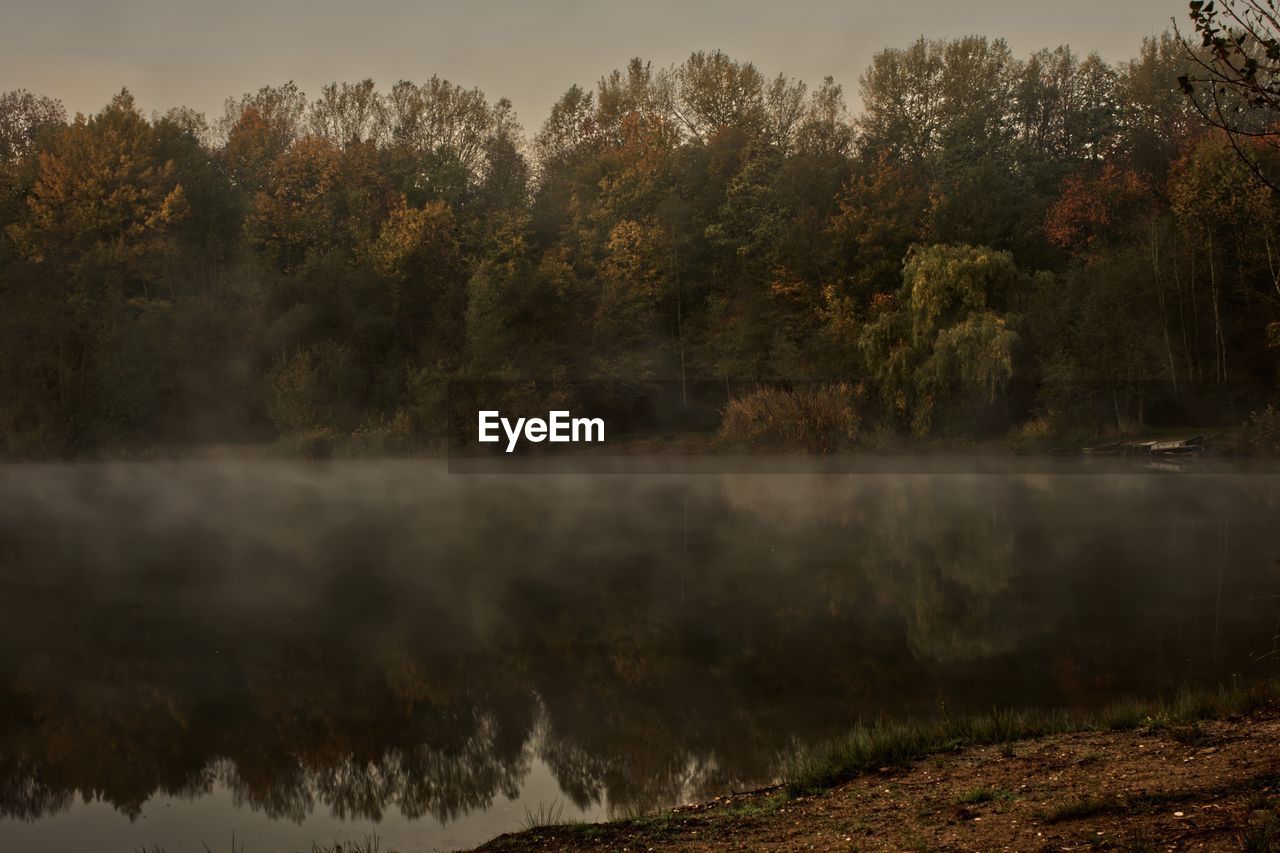 Scenic view of lake in forest against sky